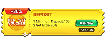 Deposit Voucher preview