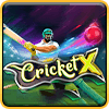 Cricket