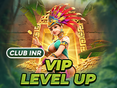 vip level.png