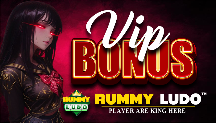 VIP BONUS 700X400 2.png